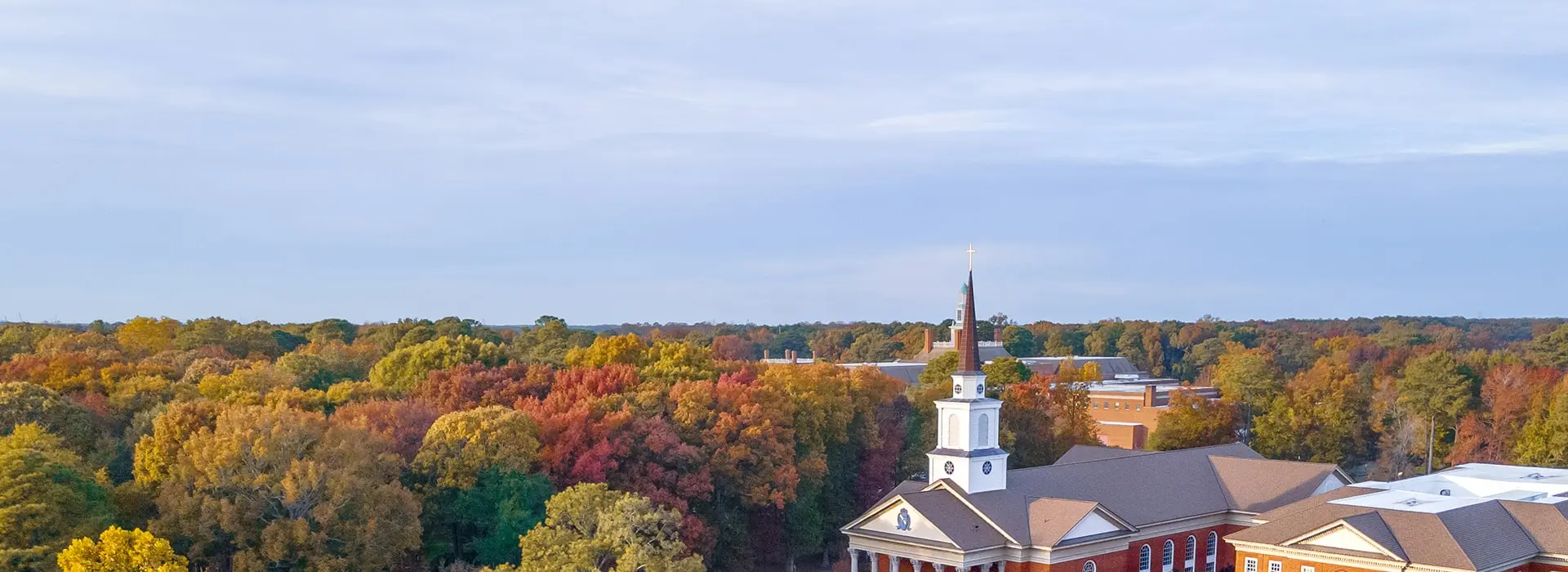 Hear From Our Students